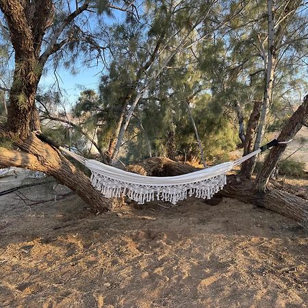 Casa Agave: Comfy Joshua Tree Cottage With Free Breakfast Bar Zewnętrze zdjęcie