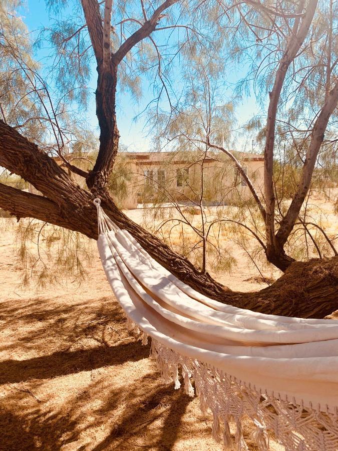 Casa Agave: Comfy Joshua Tree Cottage With Free Breakfast Bar Zewnętrze zdjęcie