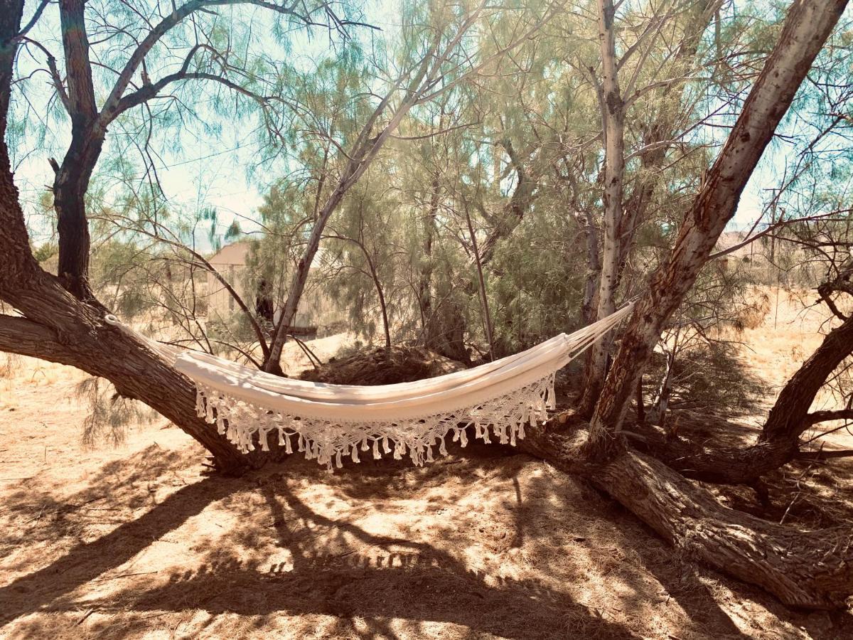 Casa Agave: Comfy Joshua Tree Cottage With Free Breakfast Bar Zewnętrze zdjęcie