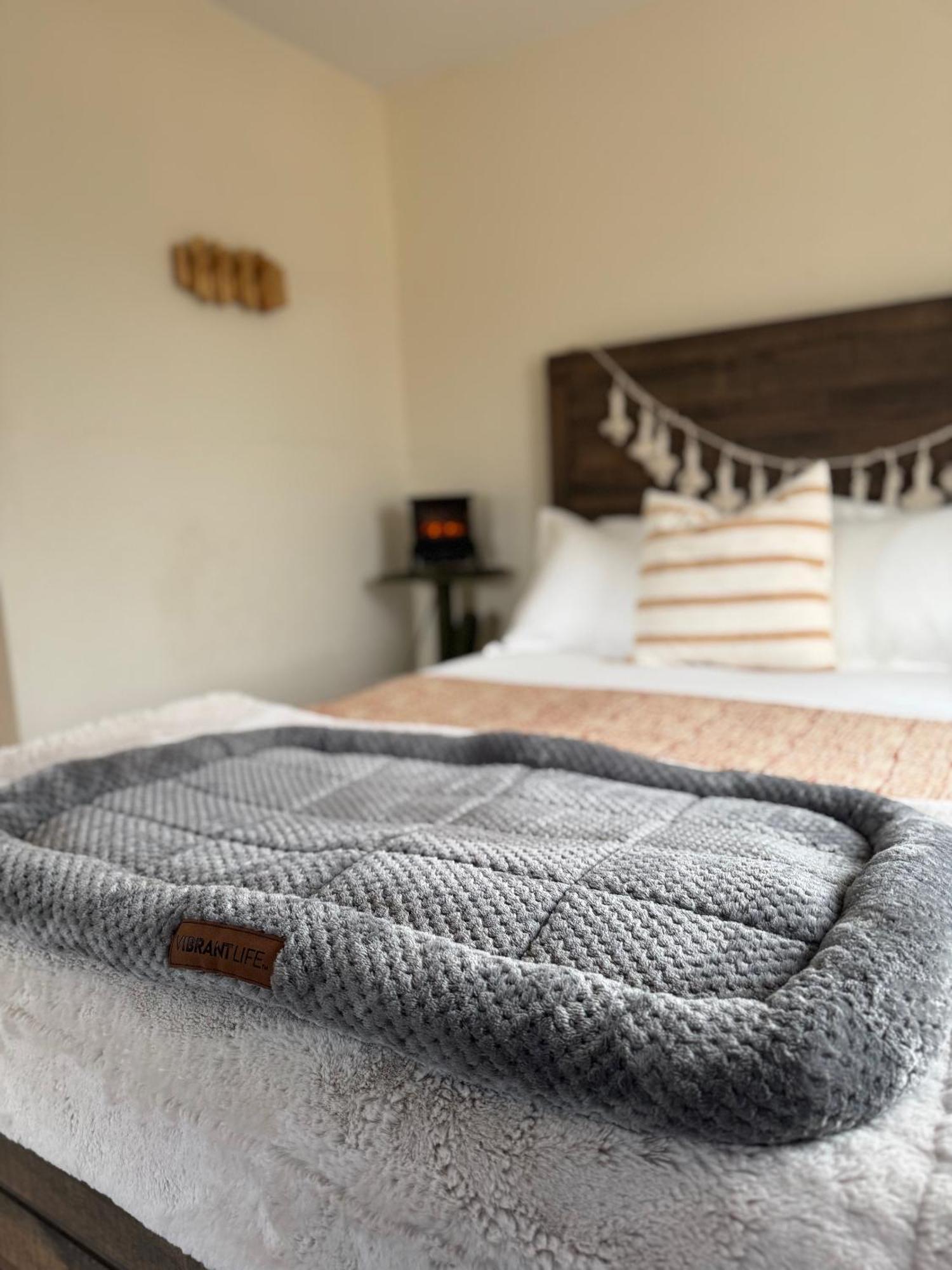 Casa Agave: Comfy Joshua Tree Cottage With Free Breakfast Bar Zewnętrze zdjęcie