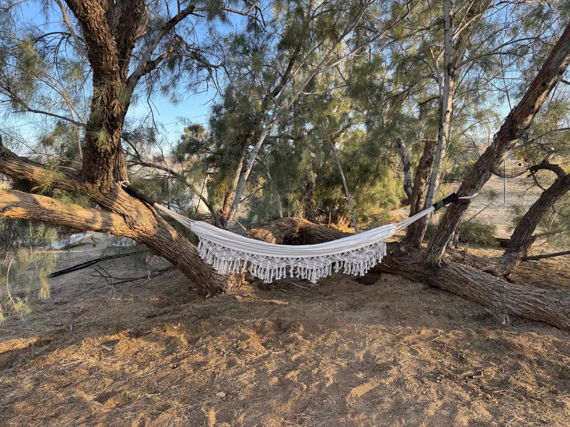 Casa Agave: Comfy Joshua Tree Cottage With Free Breakfast Bar Zewnętrze zdjęcie
